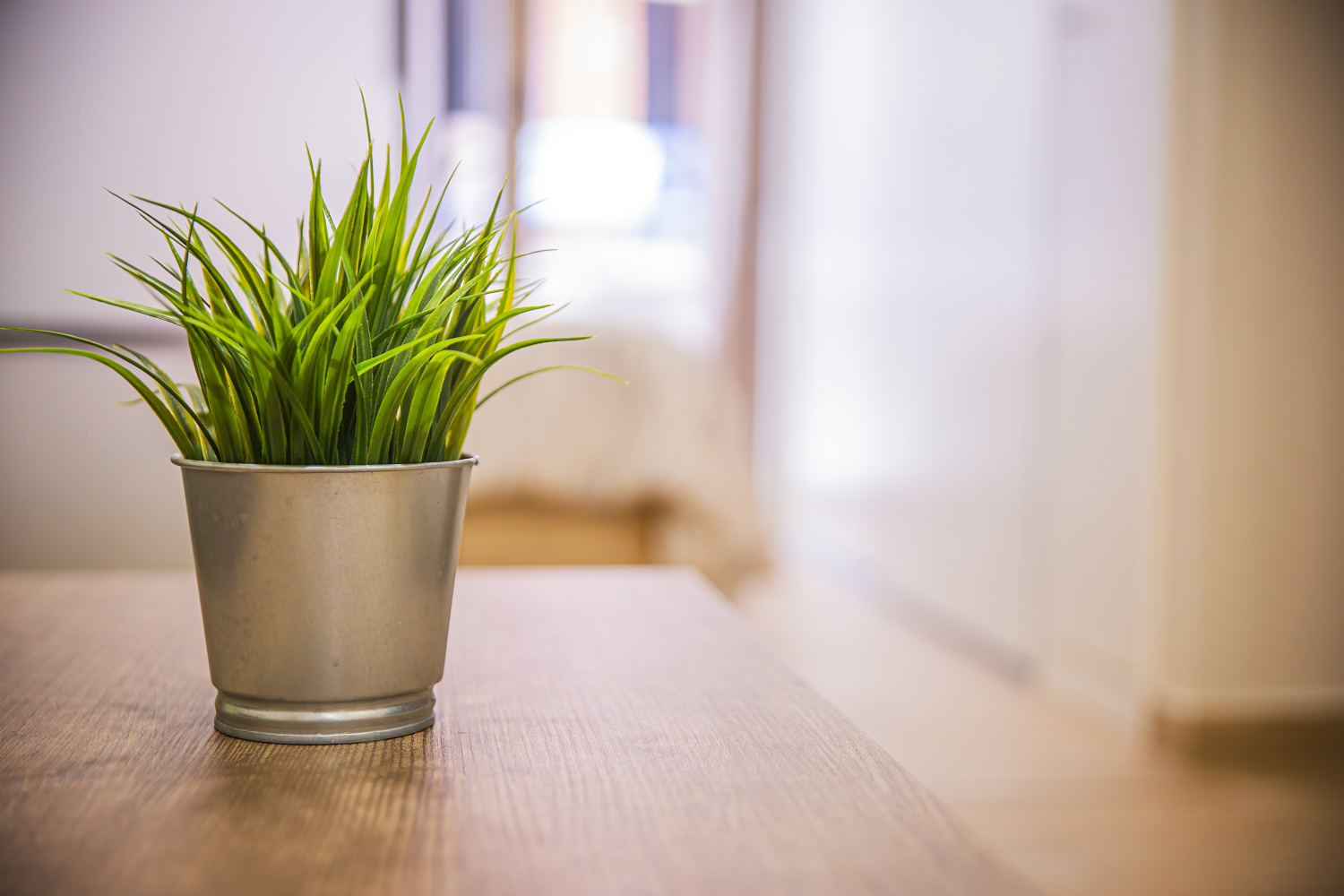 JABONERIAS 16_1B_23.jpg