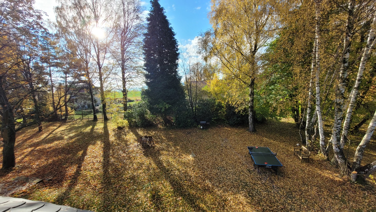 231112_Garten+TT von oben.jpg