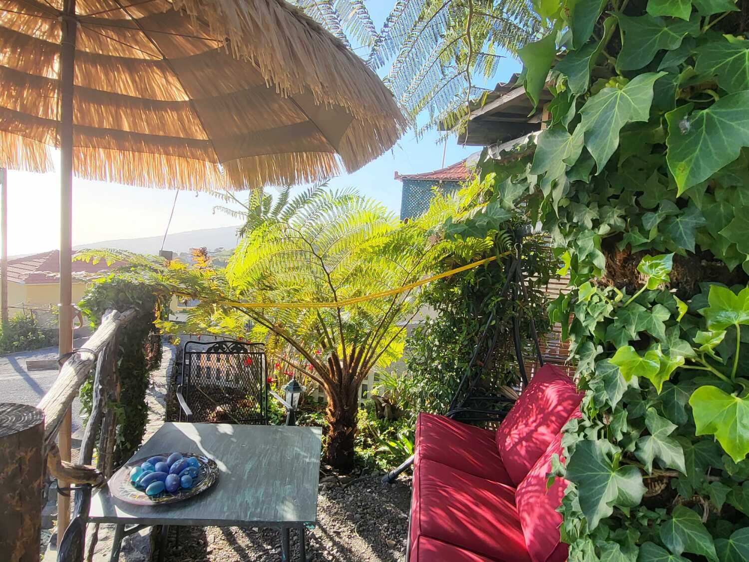 WhatsApp Image 2023-12-04 at 16.54.44 (2).jpeg