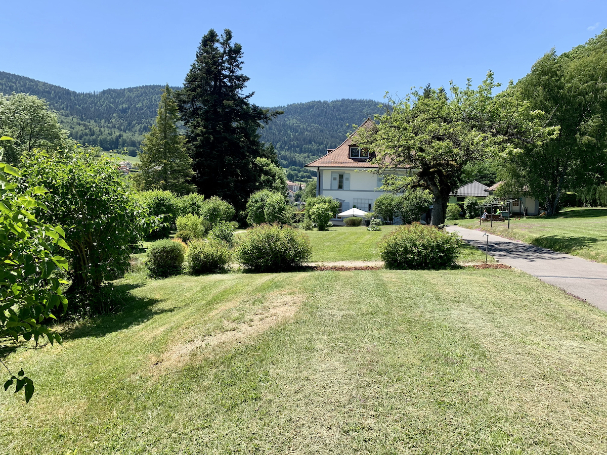 Maison terrain chemin.jpg