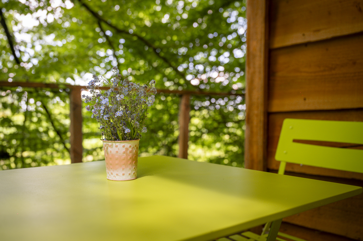 pat' de l'ours-80.JPG