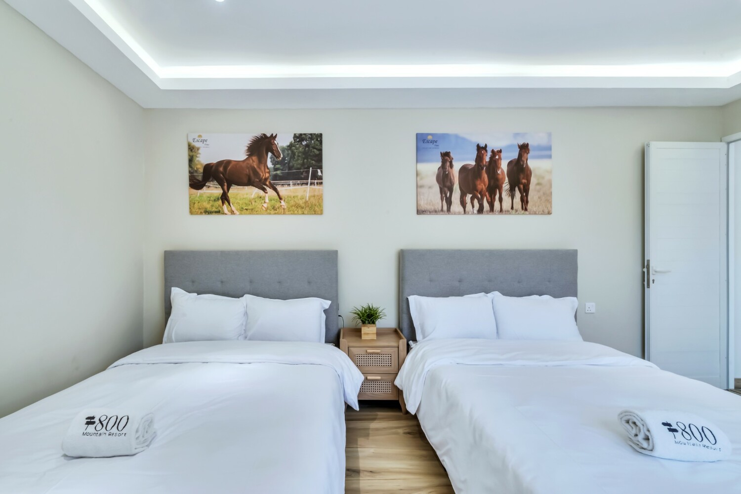 28_LAP_2362 (2K).jpg