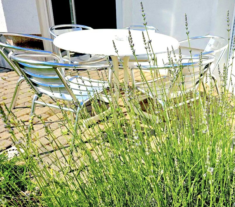 Sitzgelegenheit Terrasse01.jpeg