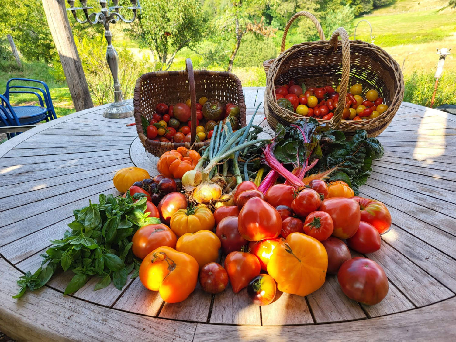 Textkachel universell (6).png