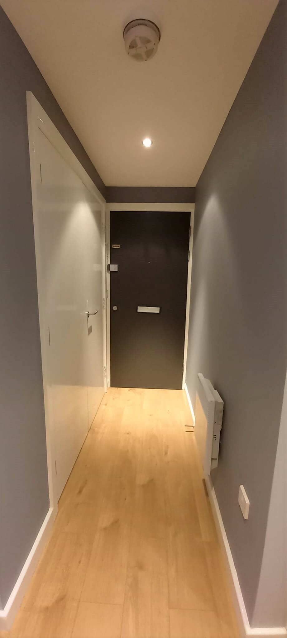 Hallway leading to front door.jpg