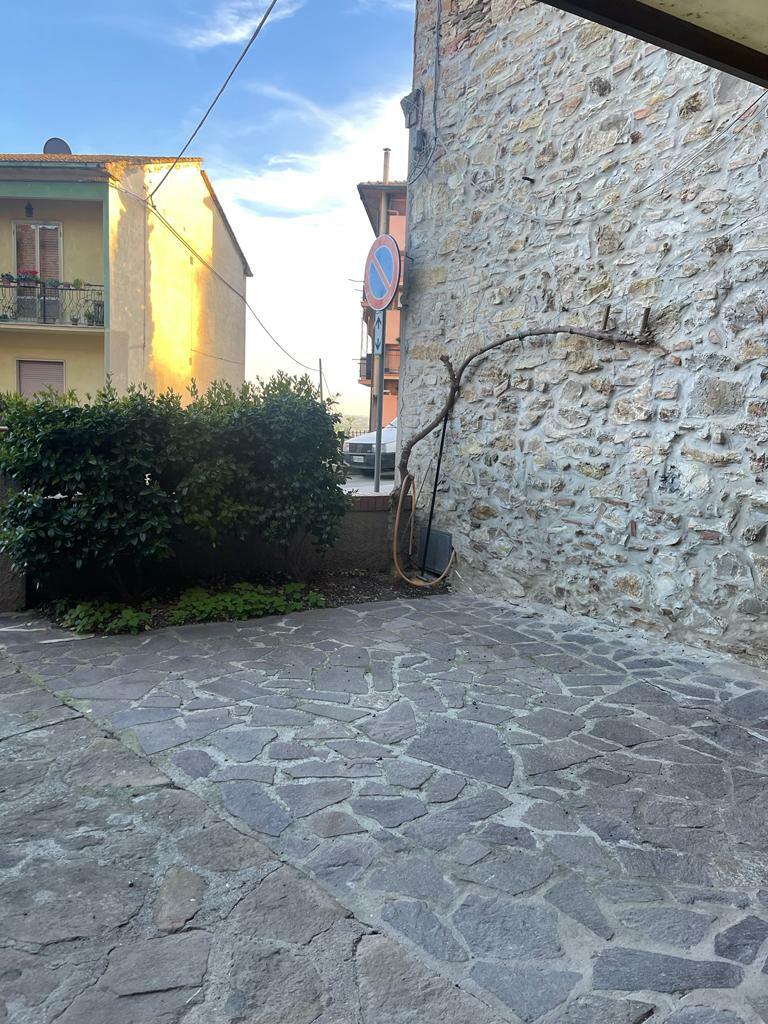 WhatsApp Image 2023-03-16 at 17.57.01 (5).jpeg