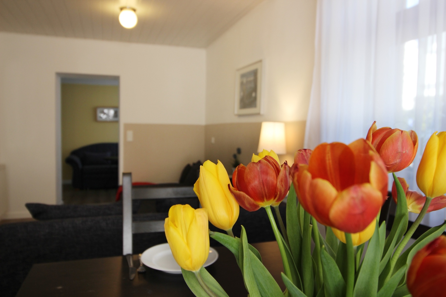 JPEG-Bild-8D70BE8F031A-1 Kopie.jpeg