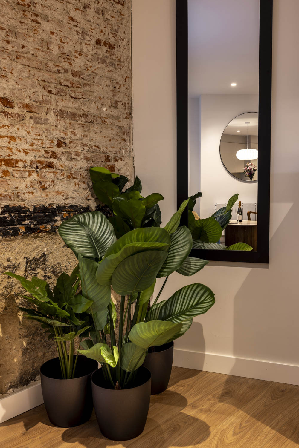 Travesia de Comadre-10.jpg