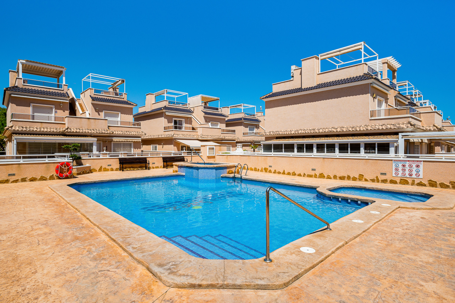 Gladiolo 52 - Pilar de Horadada (37).jpg