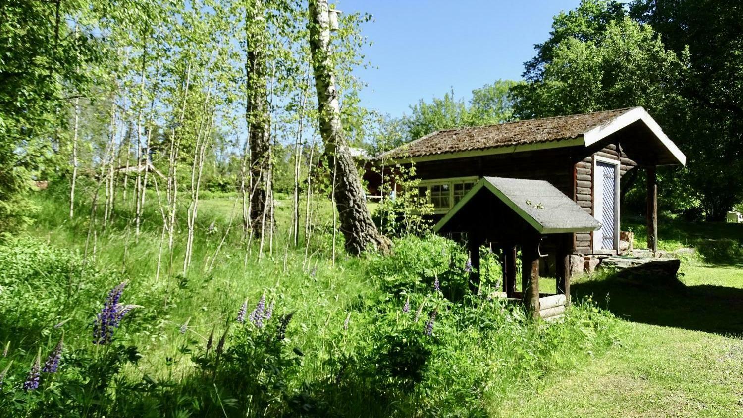 Skogstuga16 - 12 von 13.jpeg