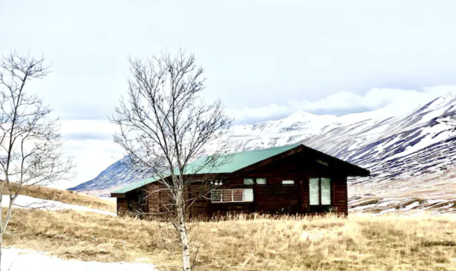 Screenshot 2022-11-16 at 12.31.16.png