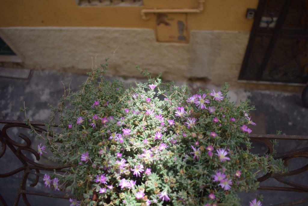 WhatsApp Image 2023-06-06 at 15.14.16 (4).jpeg