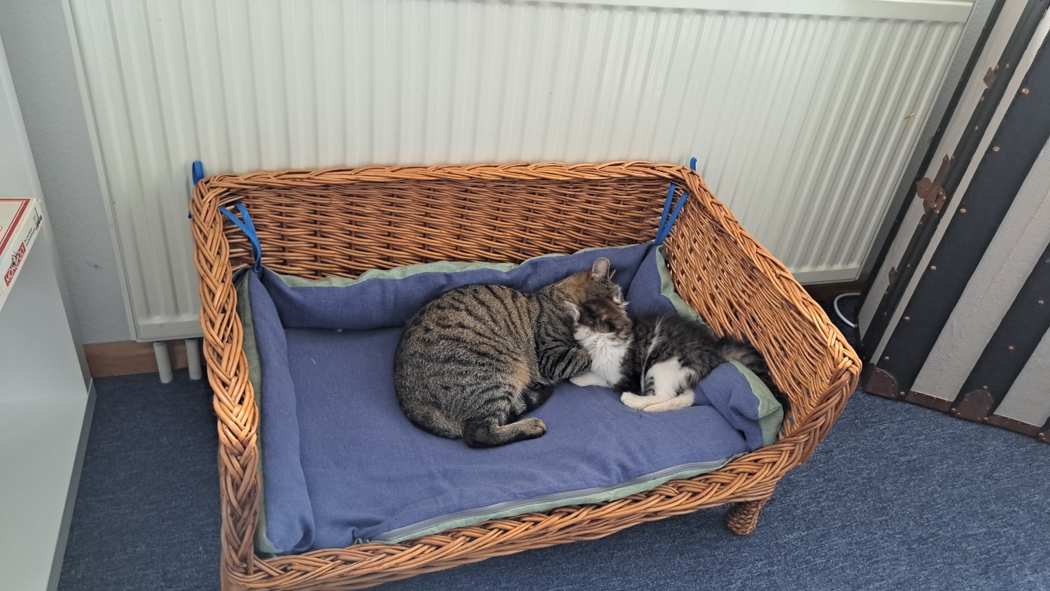 20221003_112202 - Kopie.jpg