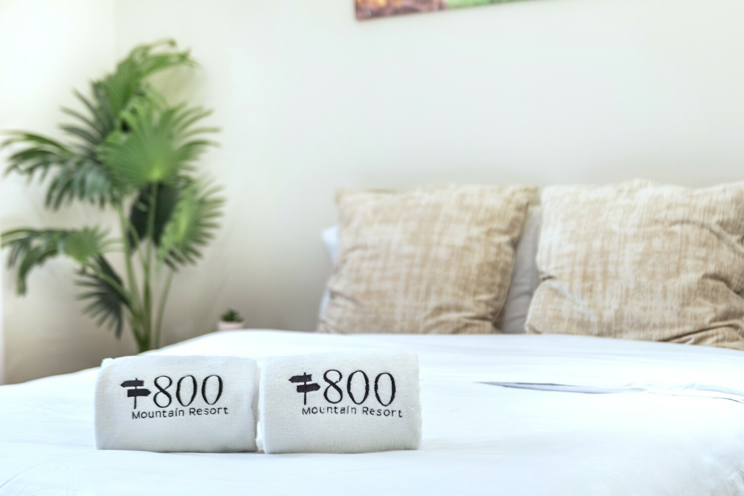 27_LTA_0380 (2K).JPG