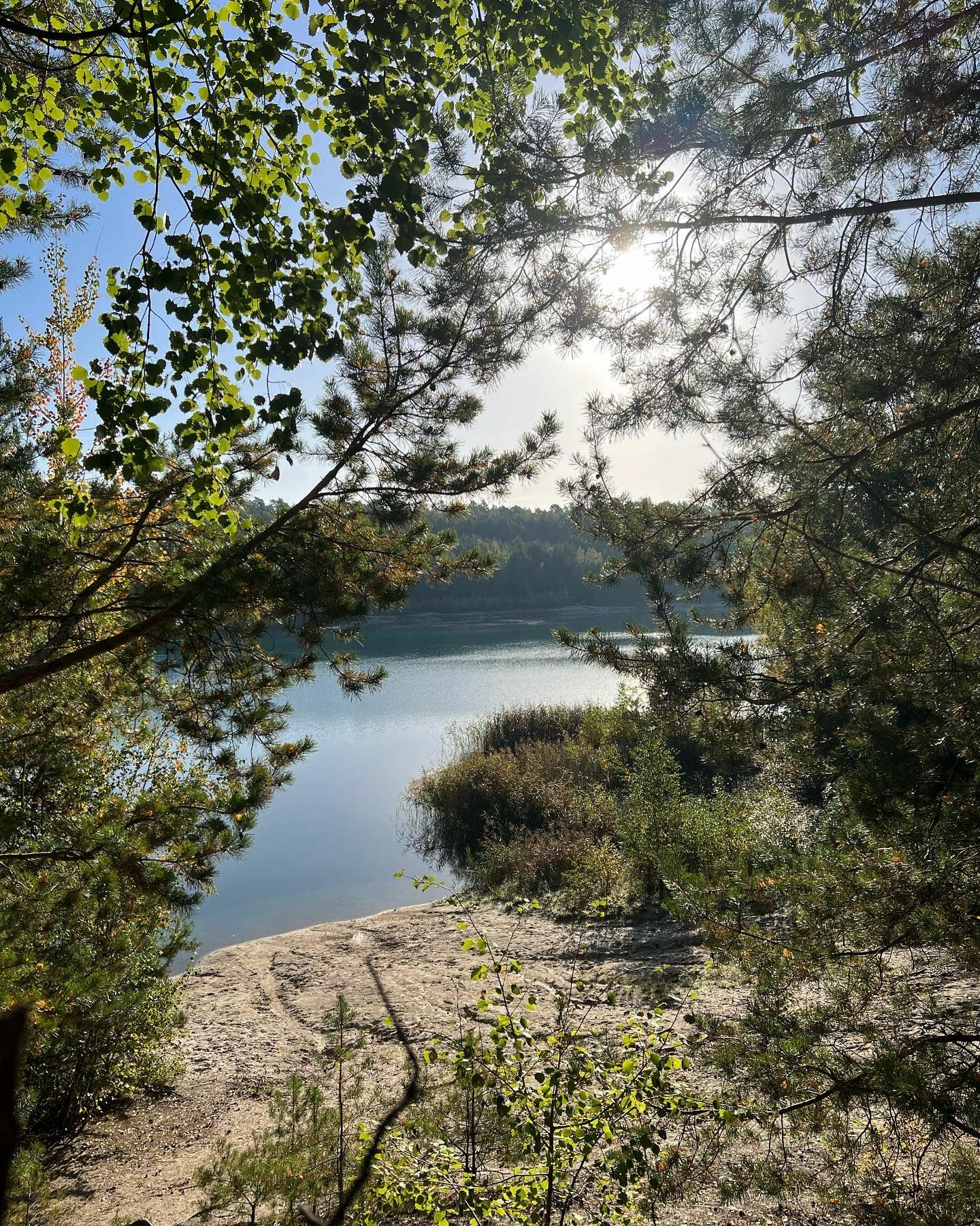 WhatsApp Bild 2024-06-21 um 12.56.09_b619dfca.jpg