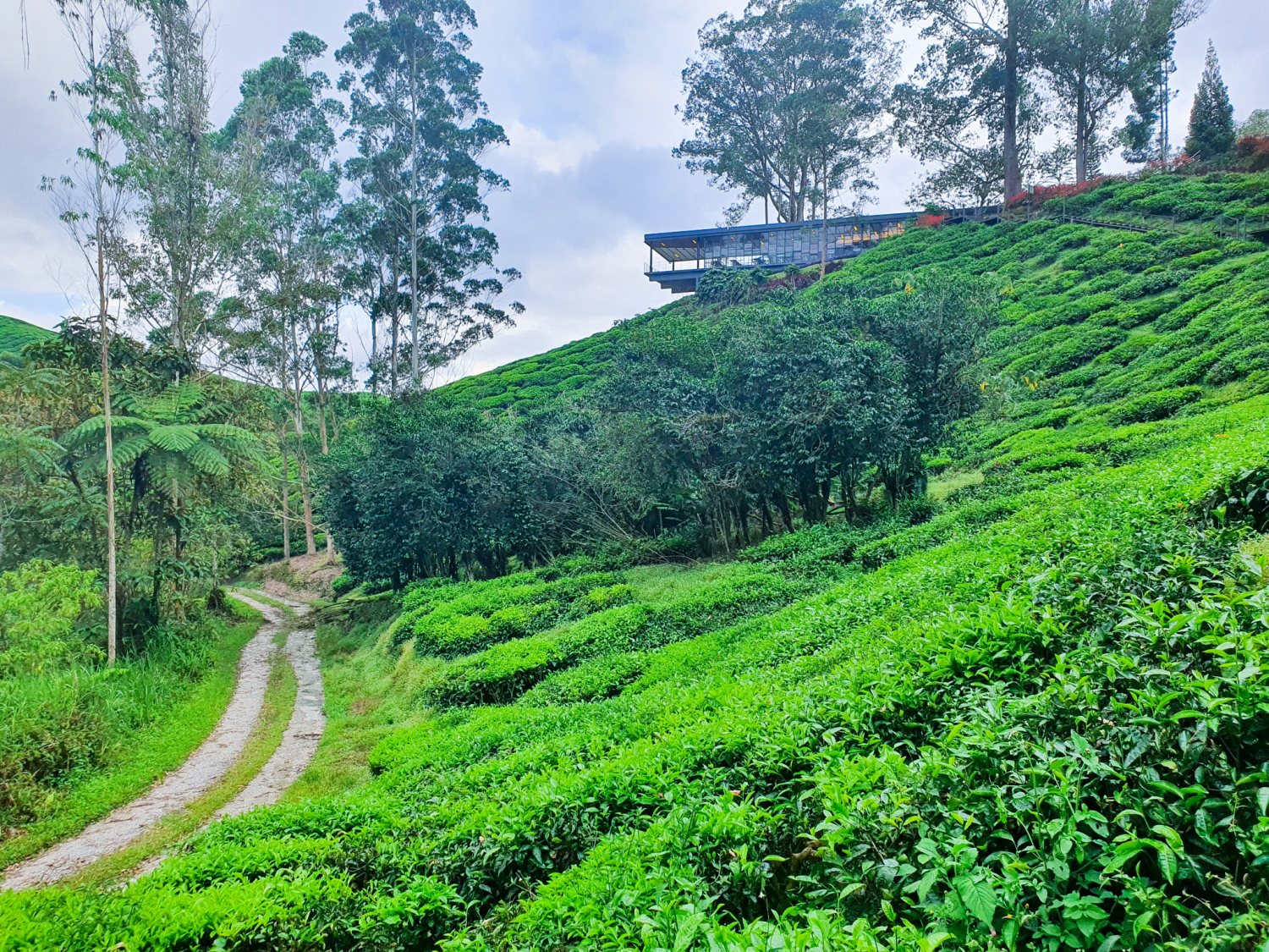 20200712_174234 (1).jpg