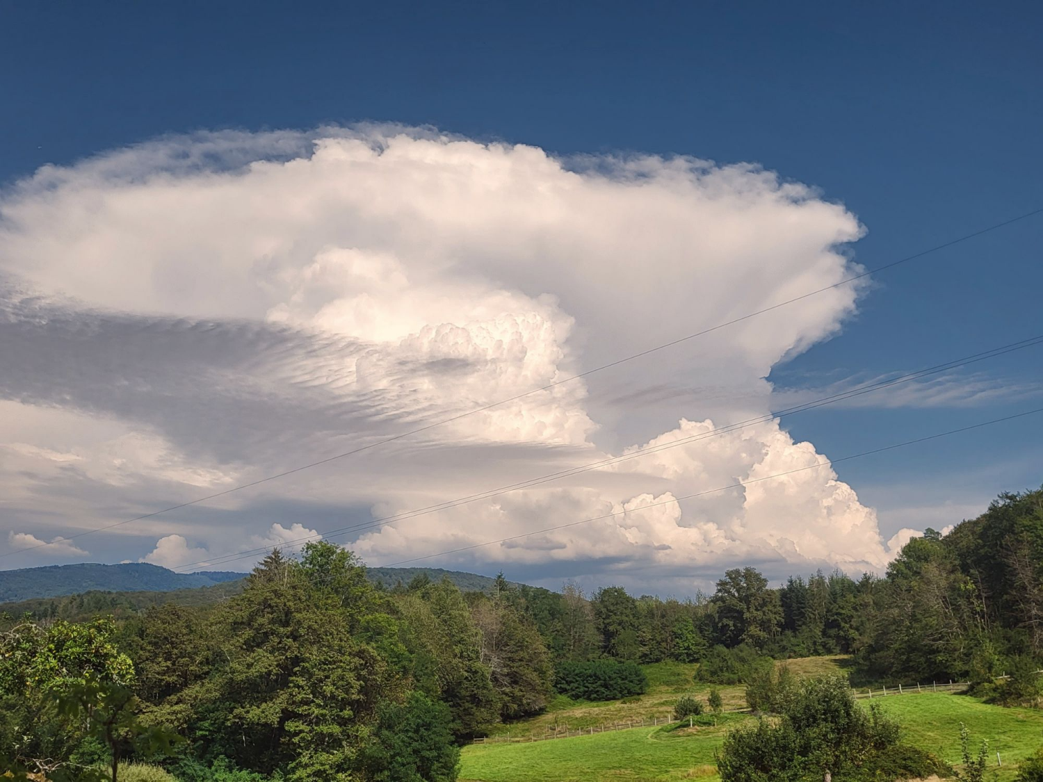 Textkachel universell.png