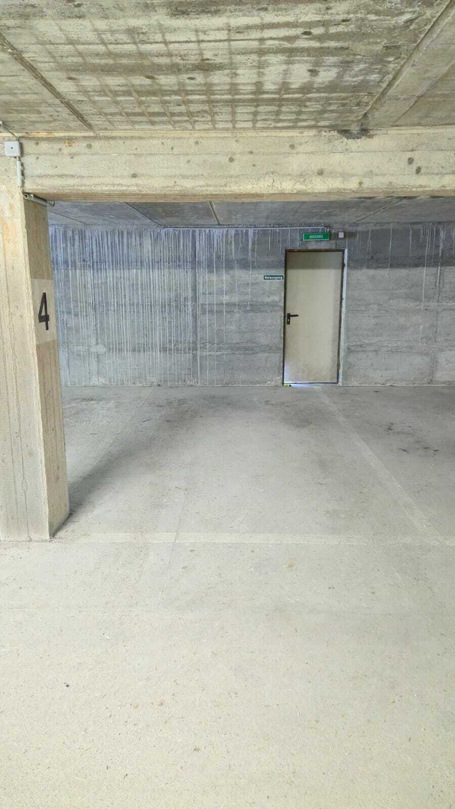 WhatsApp Bild 2025-06-15 um 18.40.08_e69d316d.jpg