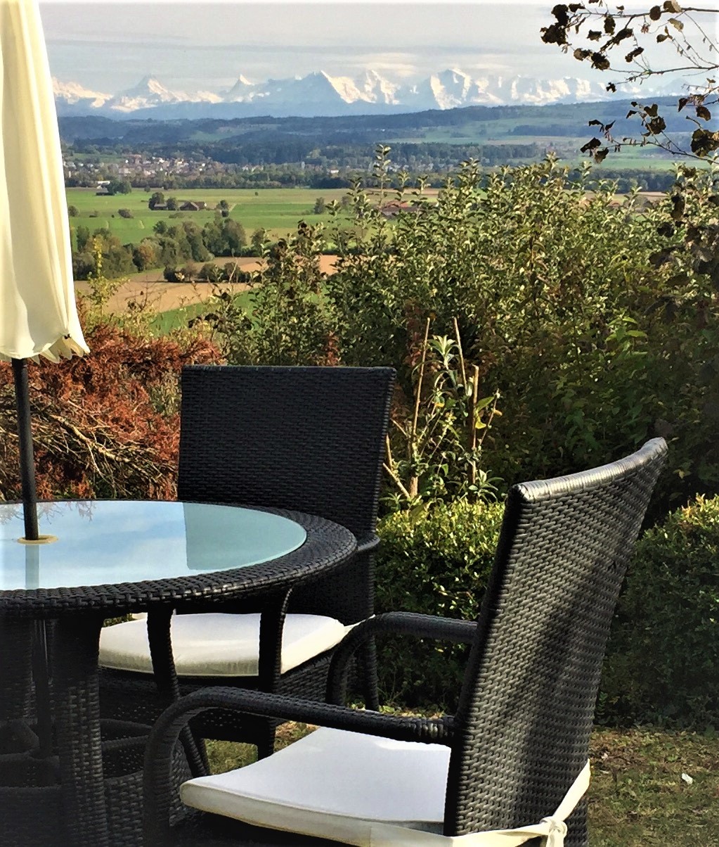 View to the alps.jpg