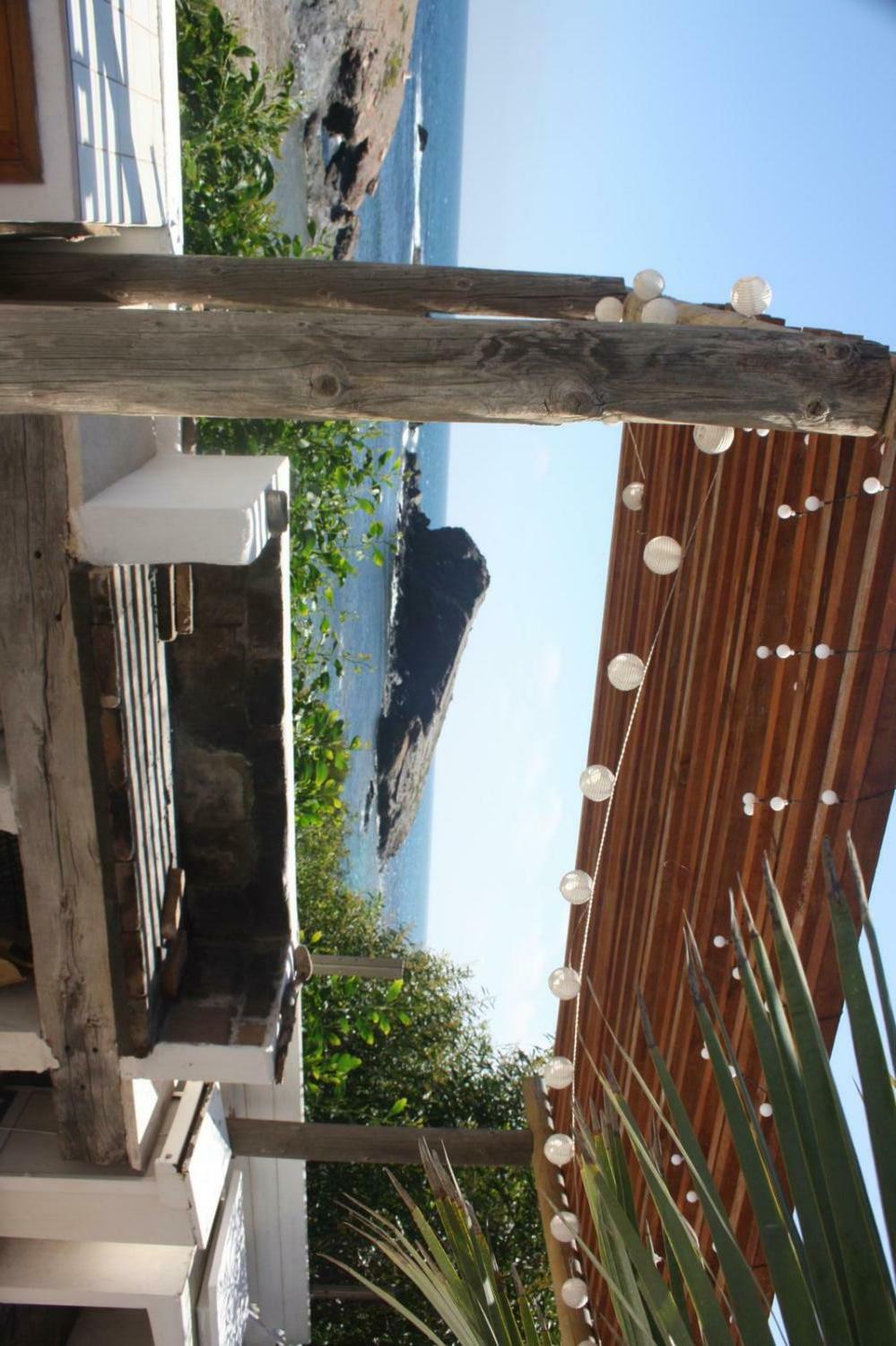 WhatsApp Image 2022-02-15 at 10.58.16.jpeg