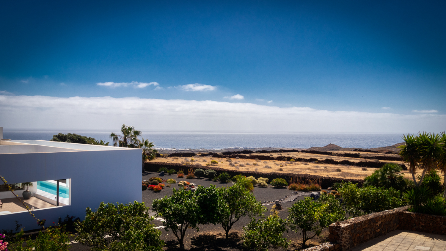 UPPER TERRACE 5 LESS 2MB.jpg