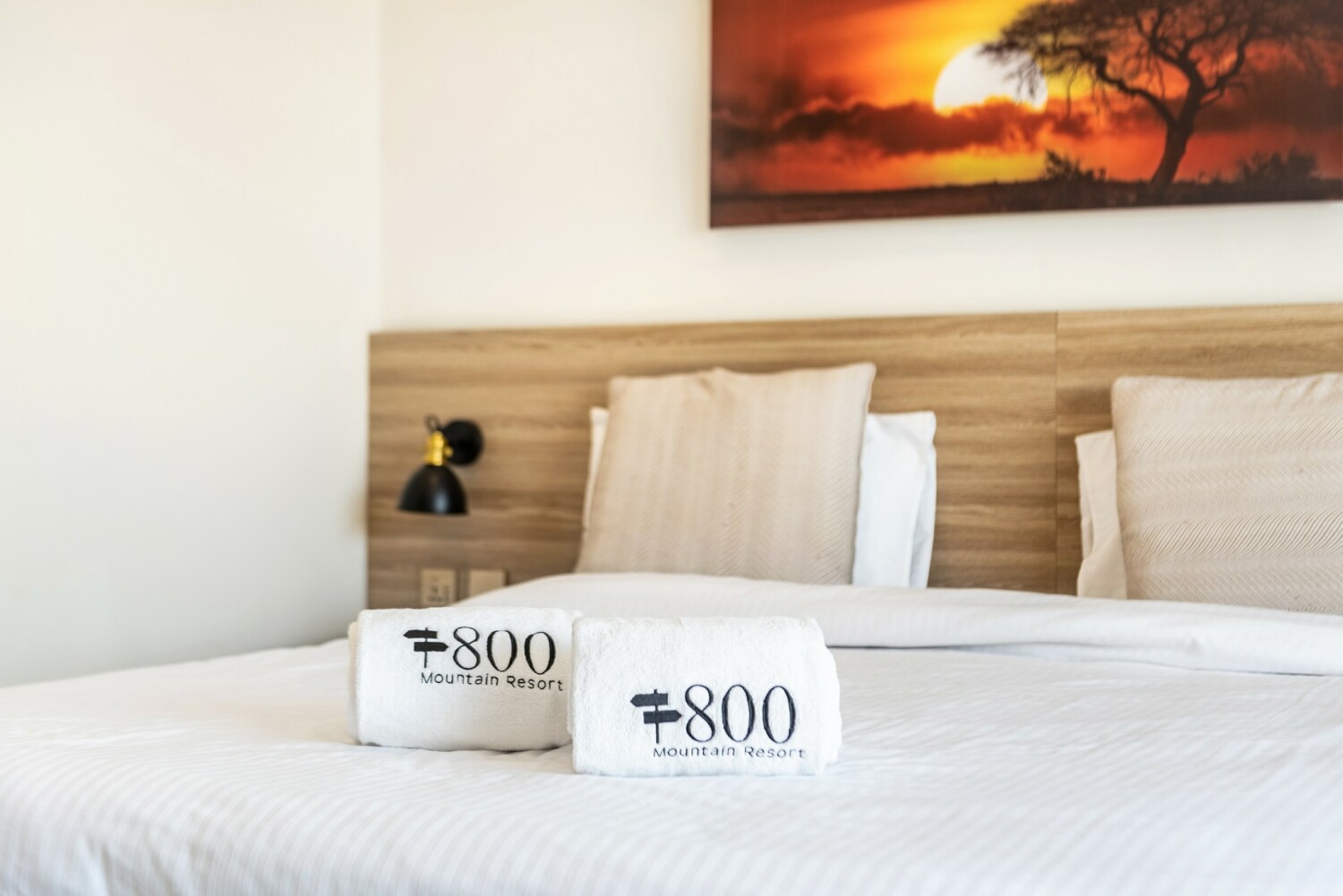 19B_LTA_0392 (2K).JPG