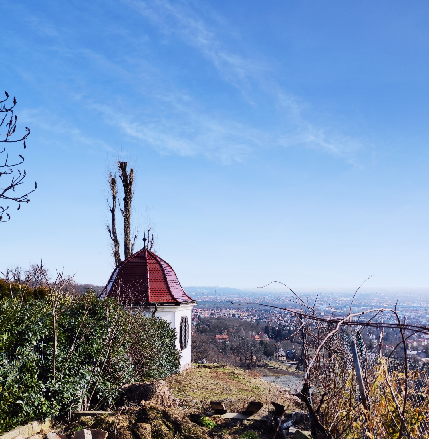 IMG_20210220_224657 (1).jpg