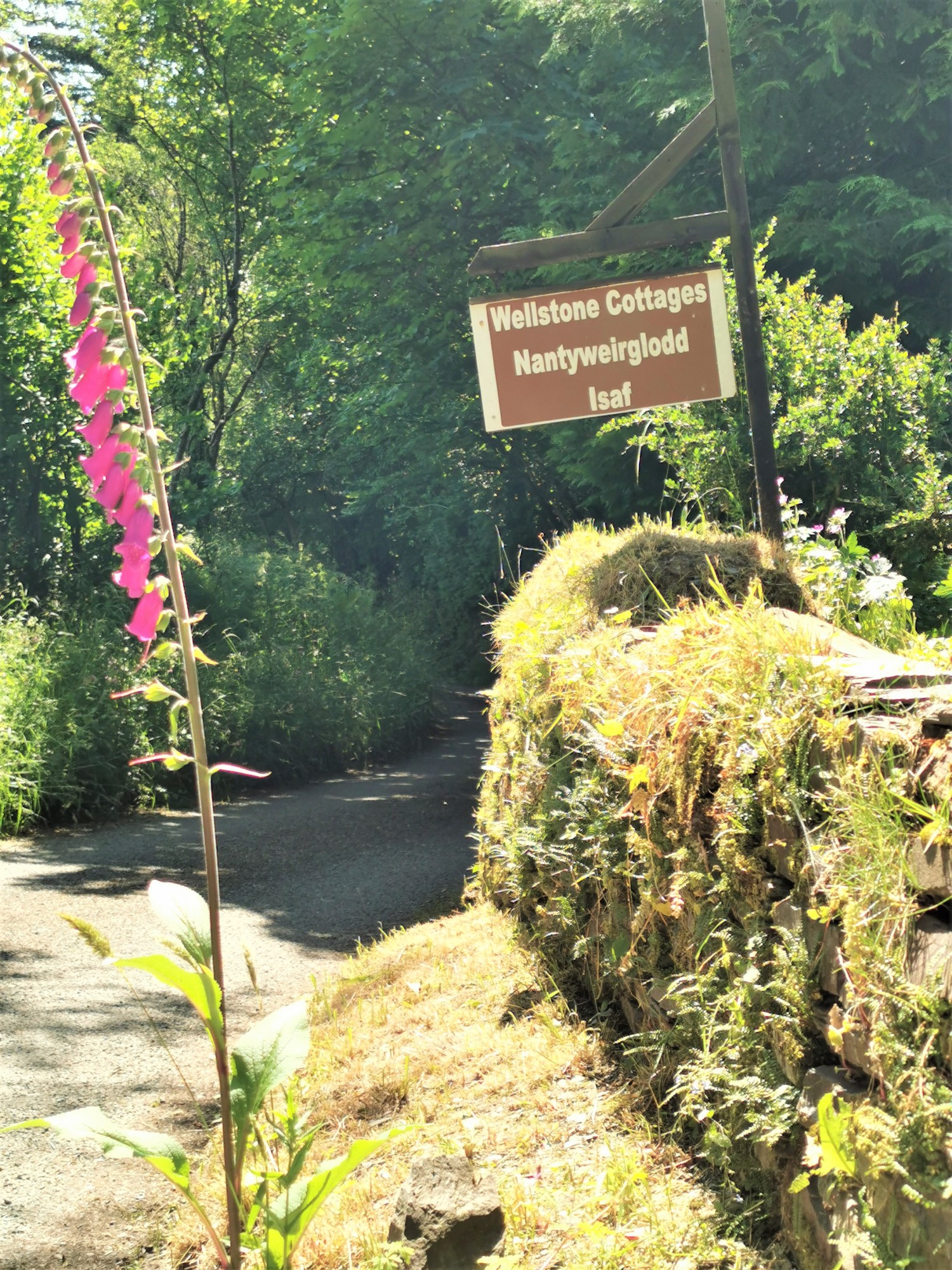 IMG_20210622_153933 (2).jpg