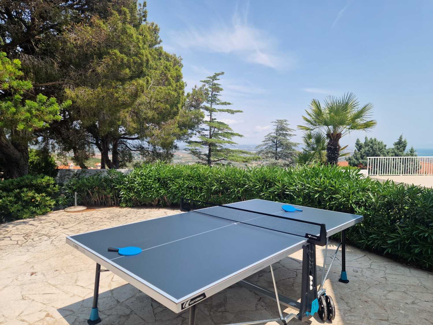 Ping pong table 2.jpg