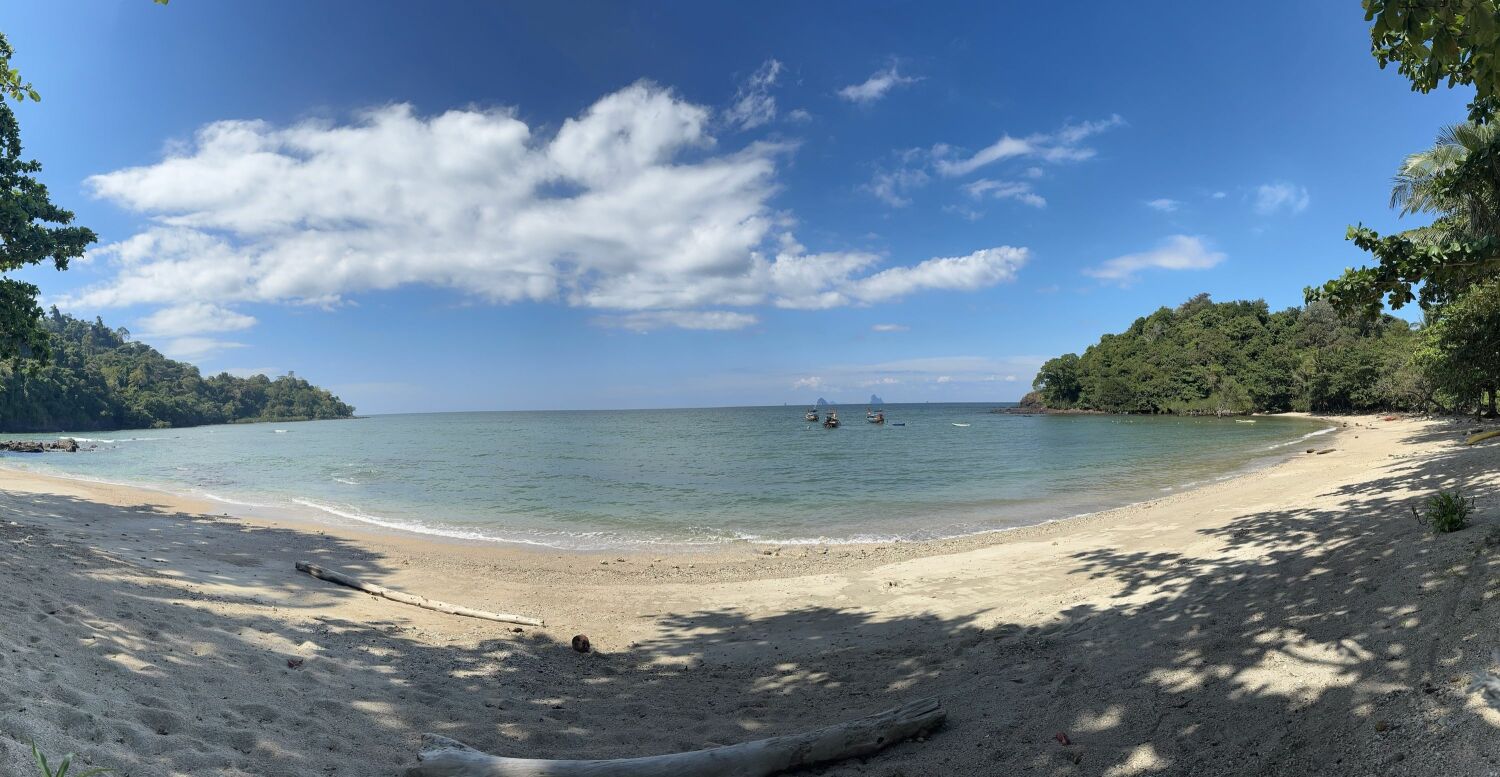 2024-12-19 13.40.03.jpg