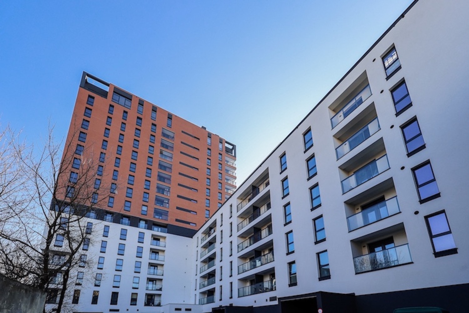 kopernika budynek od patio.jpg