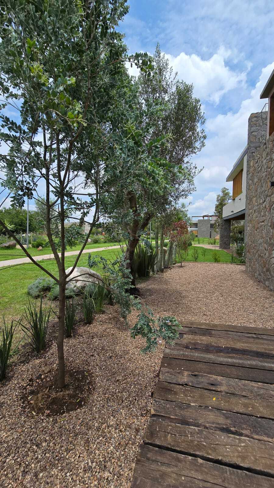 WhatsApp Image 2025-08-06 at 2.07.10 PM (6).jpeg