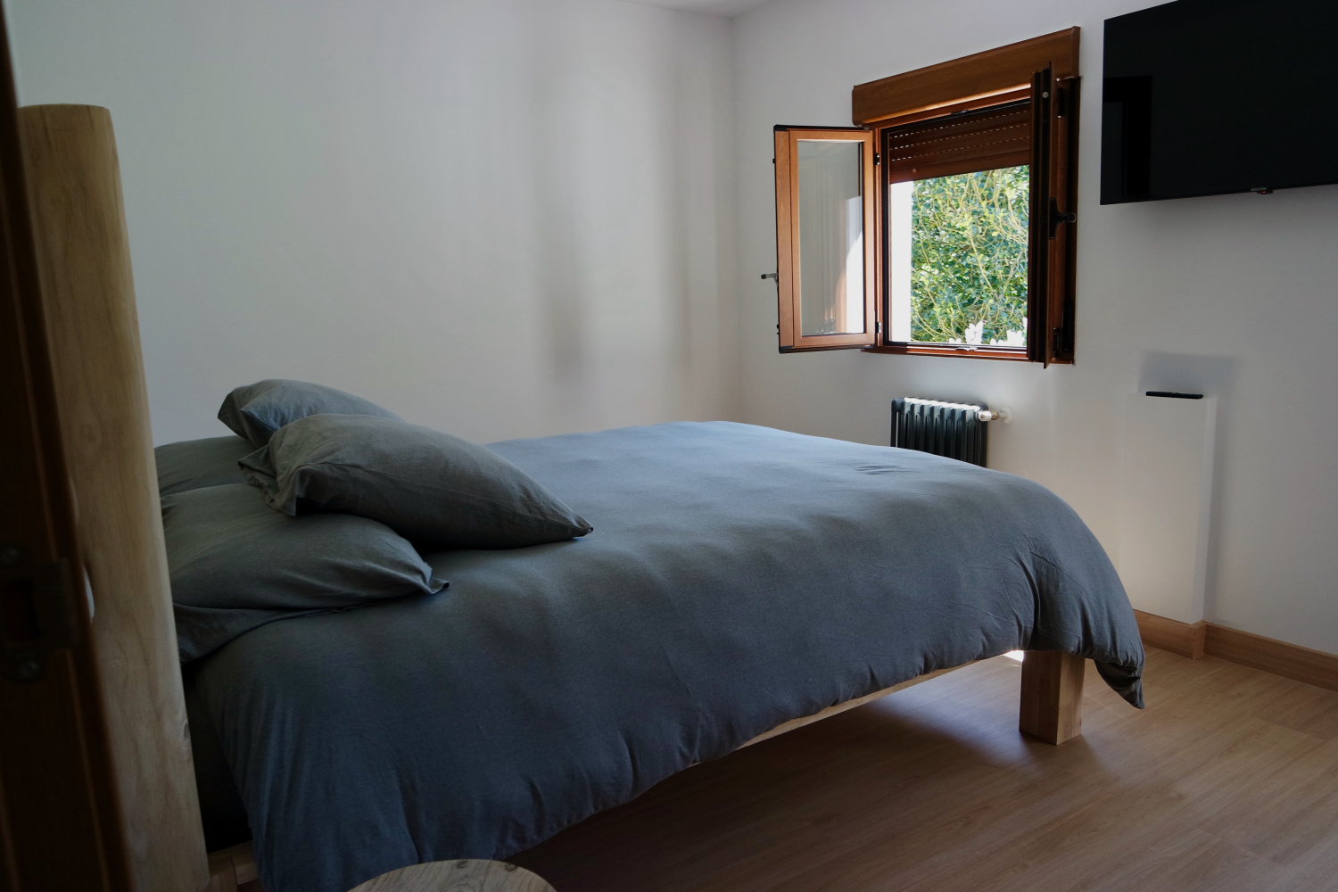 06 20240420 SAN MIGUEL DE LACIANA CA INES.jpeg