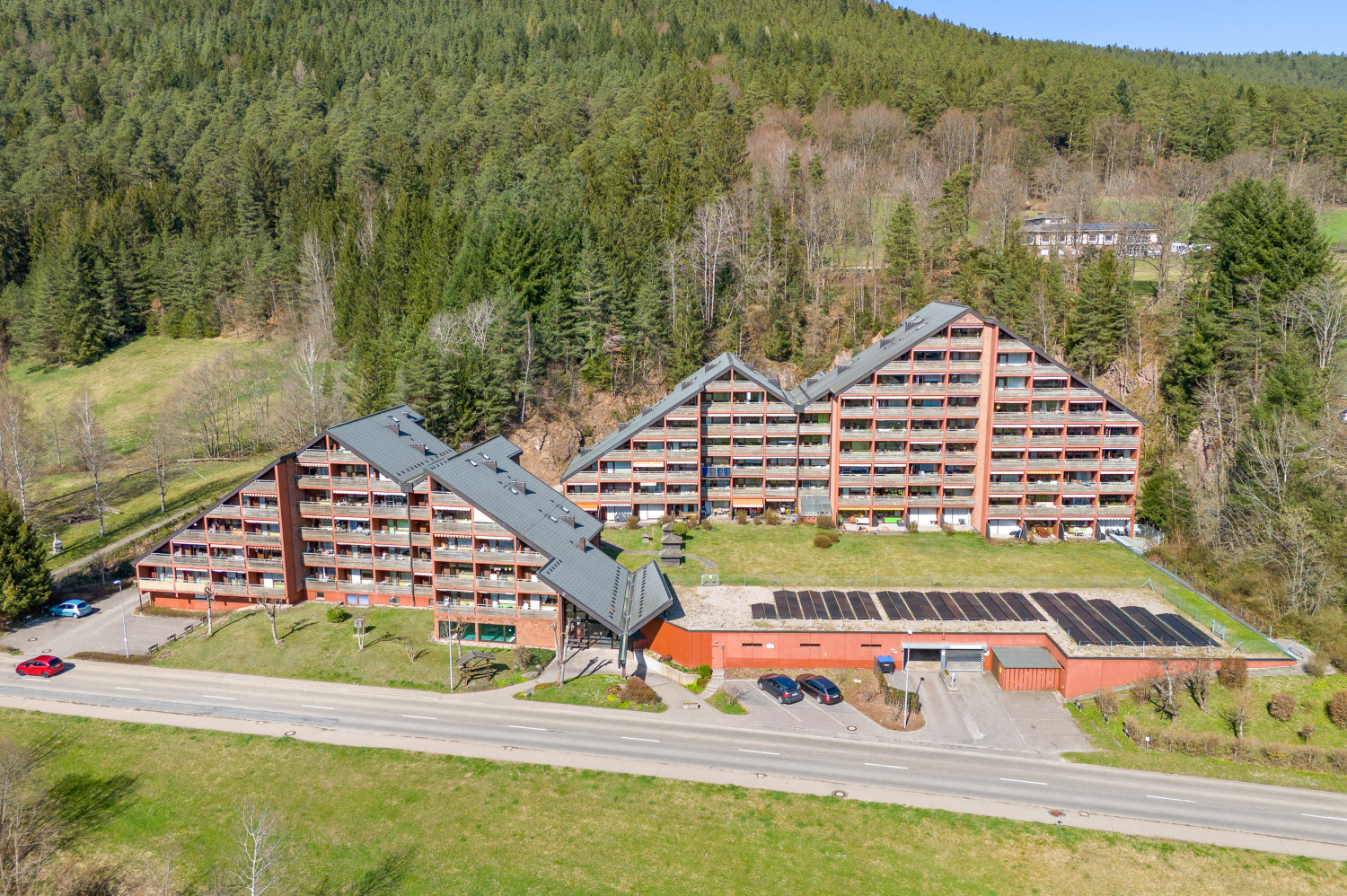 954 20250403-2000x3000-2.jpg