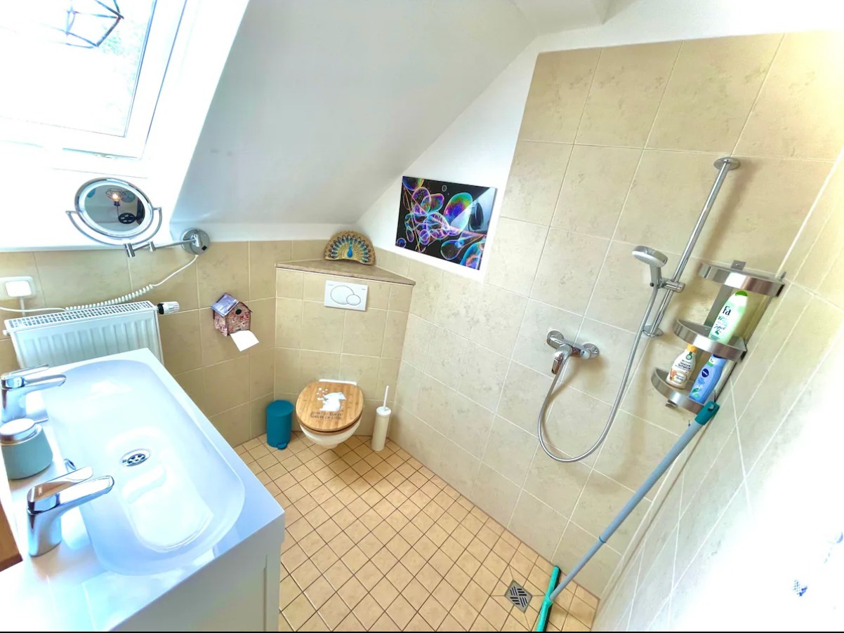 WhatsApp Image 2024-10-16 at 16.29.45 (31).jpeg