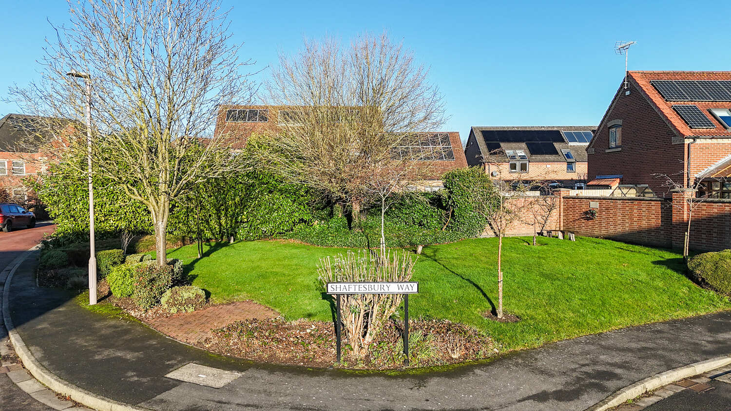 2024-12-19 12.13.56_1.jpg