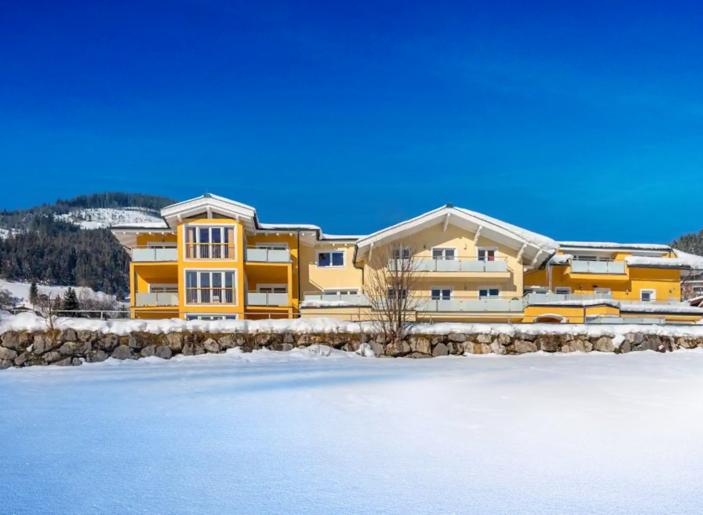 8d7fe0d6-6714-4747-83aa-264d64886759 (1).jpg