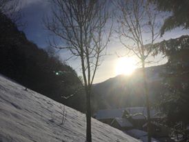 51075880_10217742225084645_9204806121594814464_n - Copie.jpg