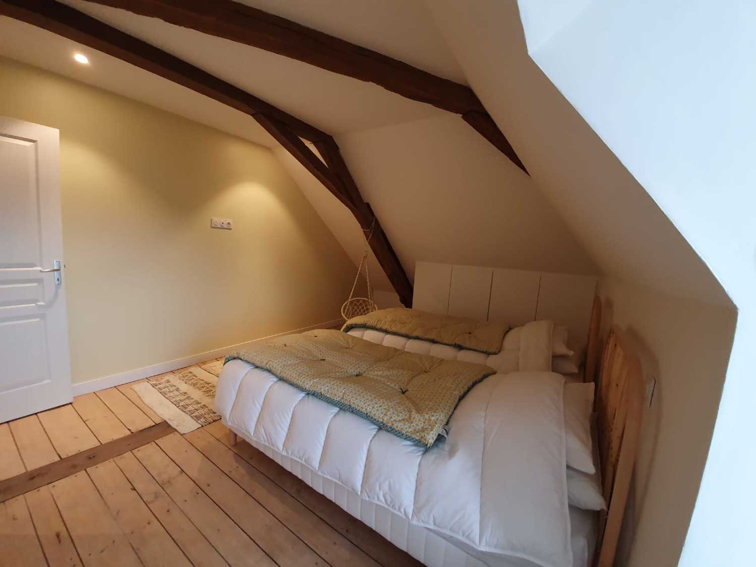 WhatsApp Image 2020-05-08 at 17.11.08.jpeg