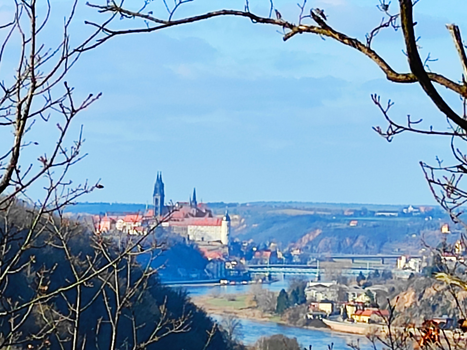 IMG_20210228_164557 (1).jpg