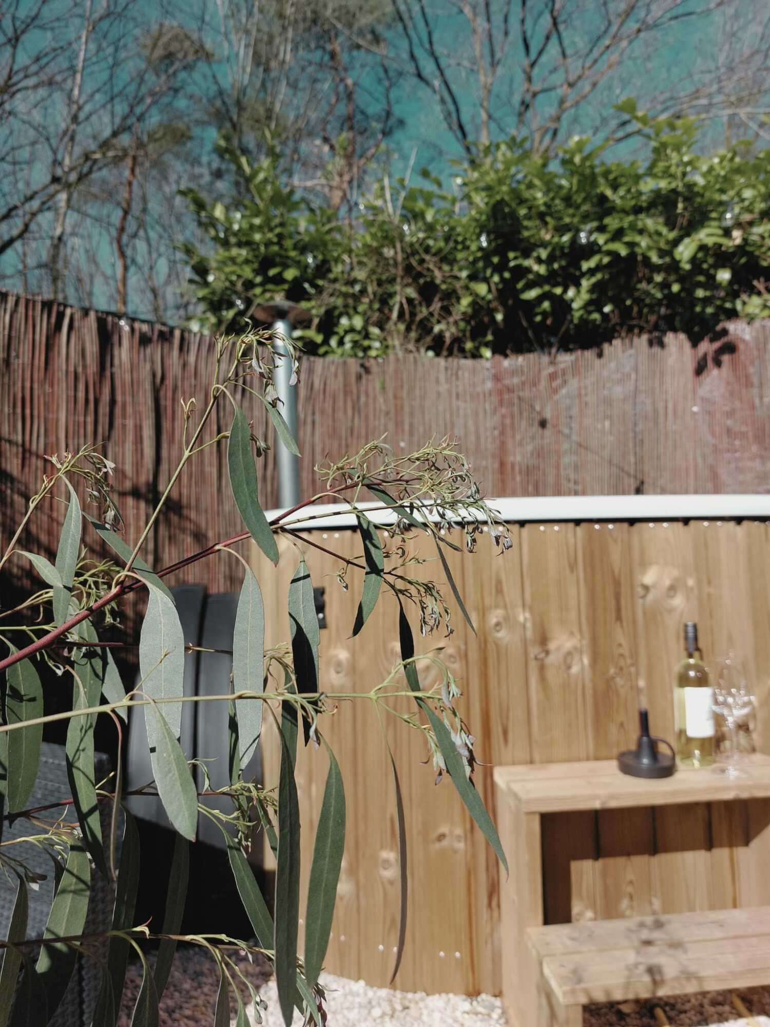 WhatsApp Image 2025-04-10 at 20.29.03 (1).jpeg