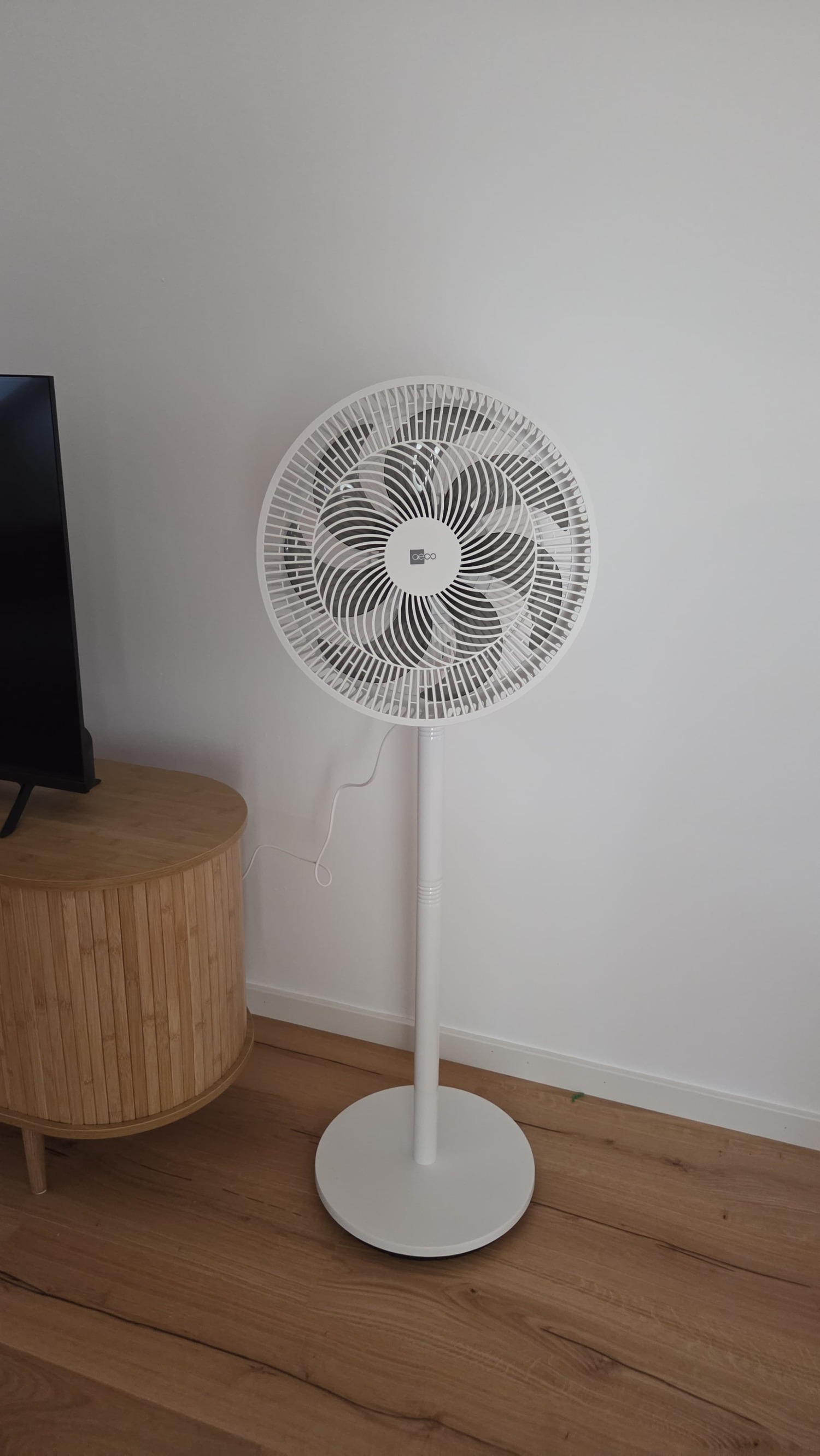 WhatsApp Image 2025-08-24 at 16.50.33.jpeg