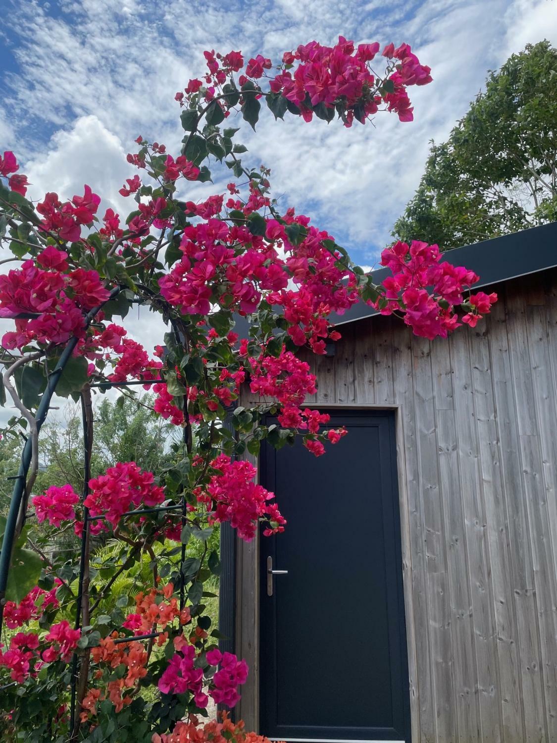 NINO extérieur Fleurs.jpg