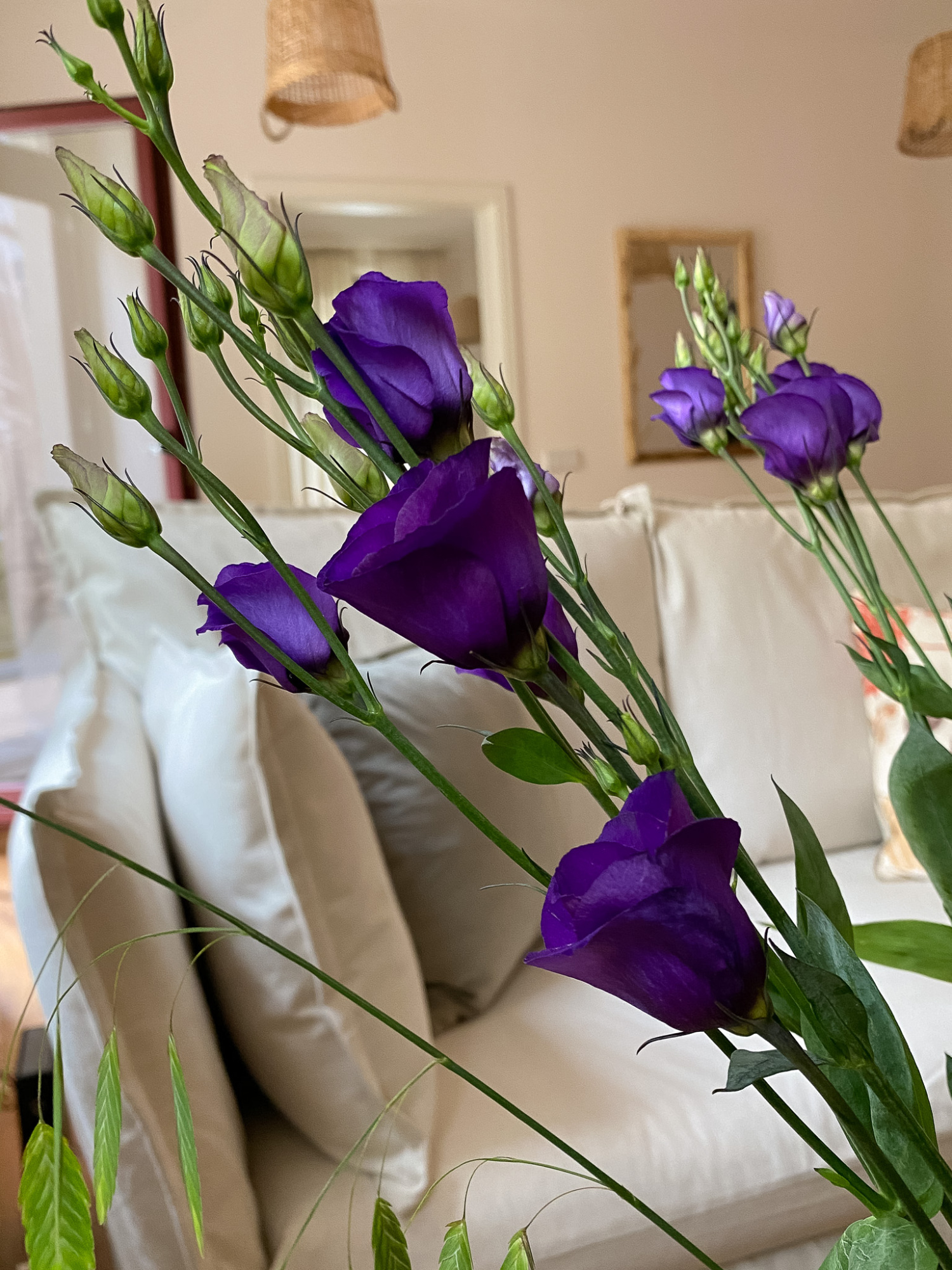 Foto 14.10.22, 12 53 04.jpg