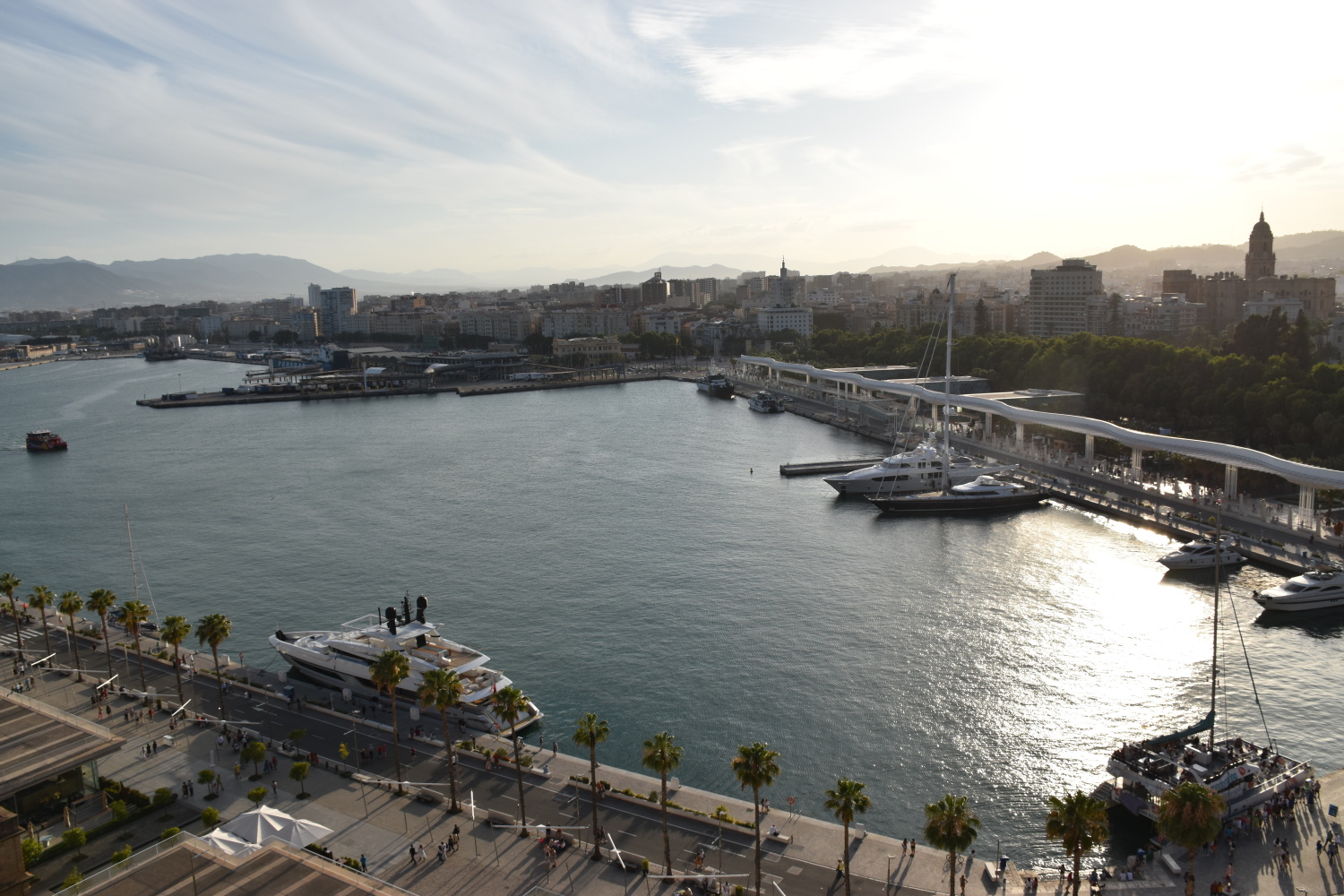 2023-06-11 19.25.01.jpg