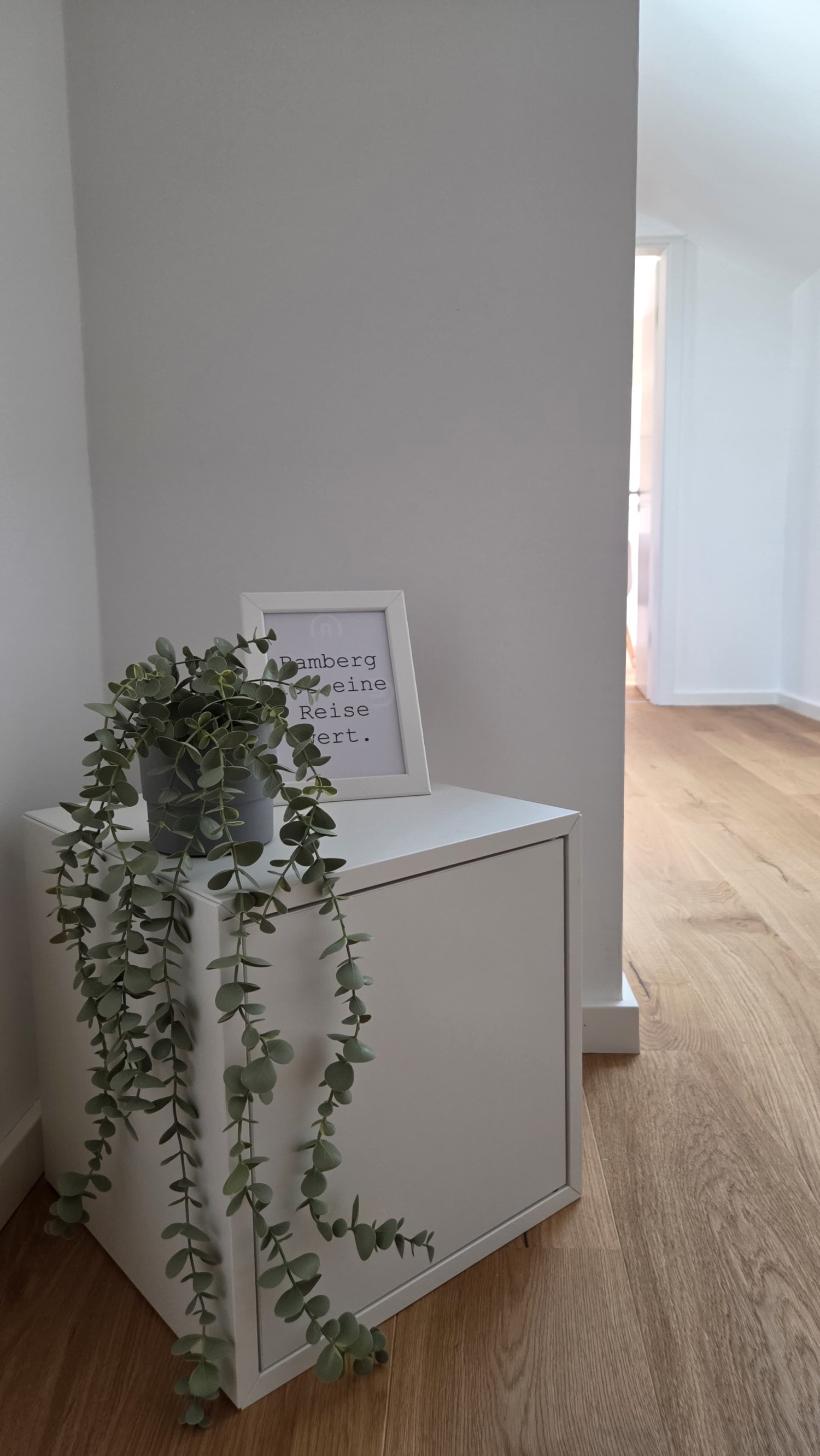 WhatsApp Image 2025-08-17 at 07.36.09 (1).jpeg