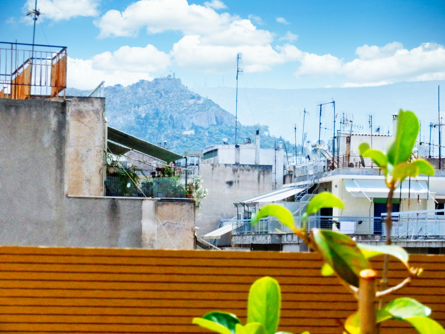 STUDIO BALKONY 3.1.jpg