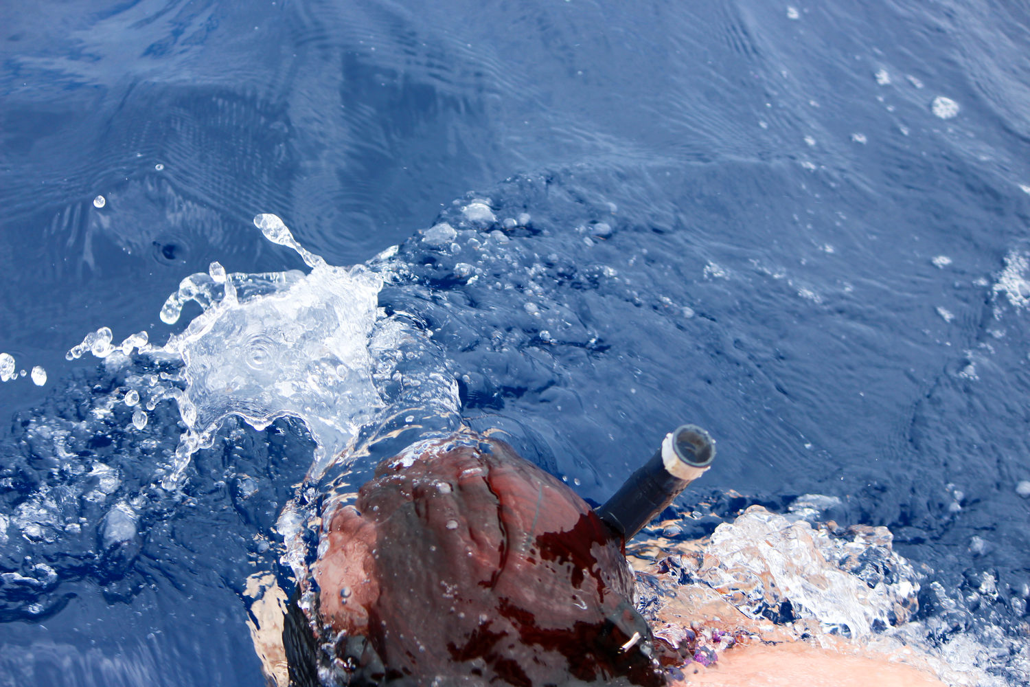 Madeira-snorkel .jpg