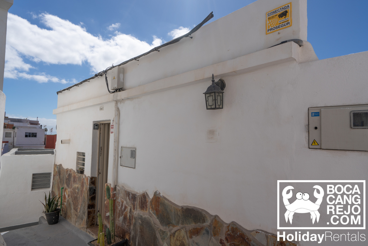 Bocacangrejo Tenerife  (2).jpg