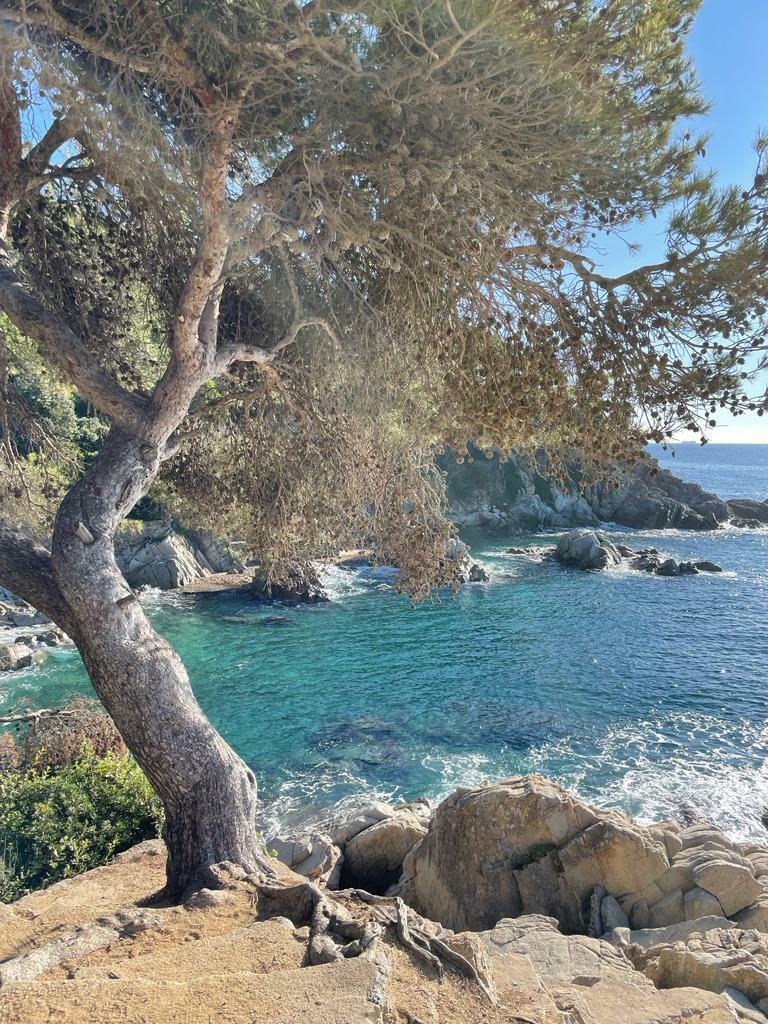 630f98bb-380b-48cc-aaa3-7fdf2428f584 2.JPG